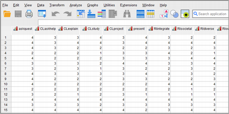 A thumbnail image of a NSSE data file in SPSS. 